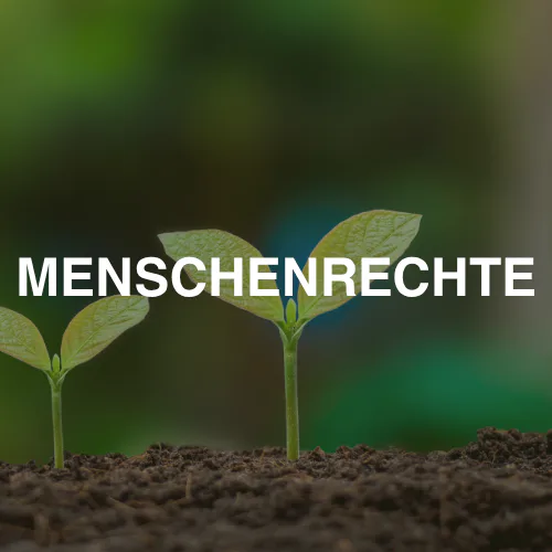 Menschenrechte & Lieferkette
